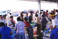 伊崎のおさかな夕市へ