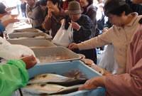 志賀島の朝市へ